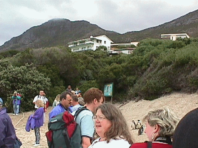 Hills.jpg (65729 bytes)