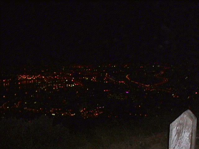 Nightlights.jpg (24489 bytes)