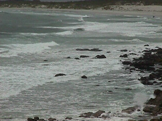 sea.jpg (56430 bytes)