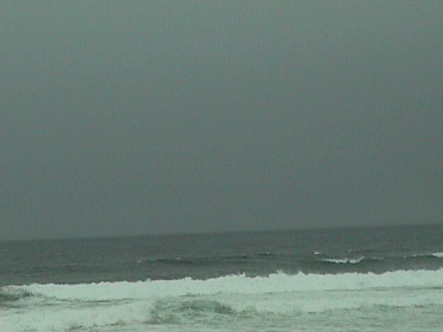 sea2.jpg (25444 bytes)