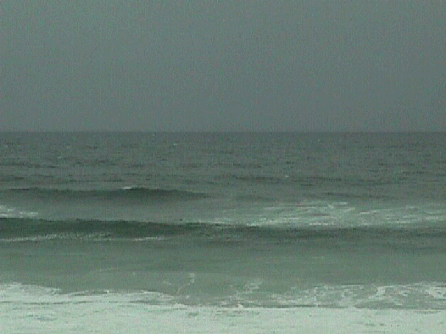 sea3.jpg (29502 bytes)