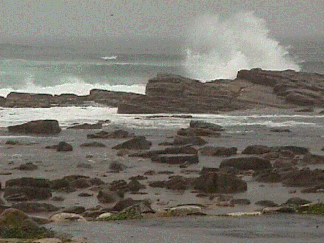 seascape2.jpg (43477 bytes)