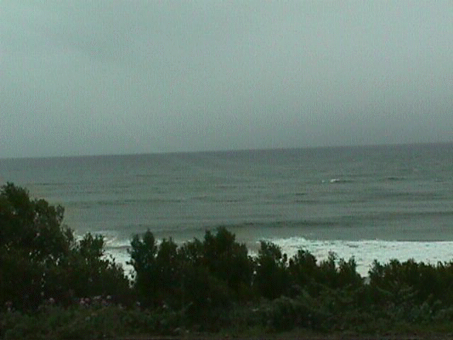 seascape4.jpg (32020 bytes)