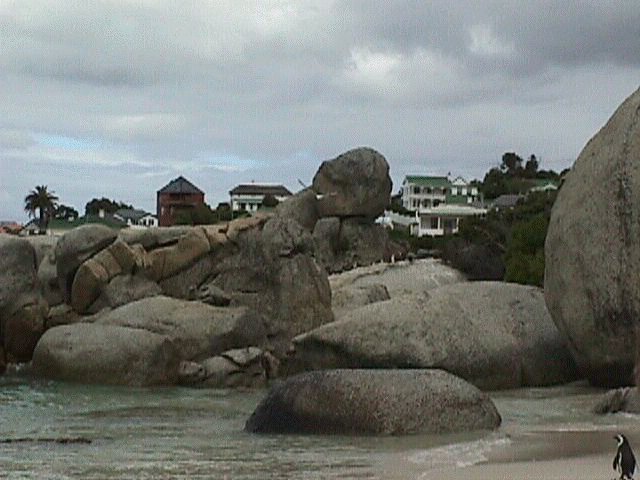 seascape7.jpg (46545 bytes)