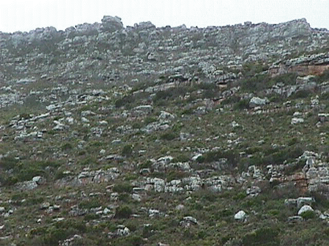 Uphill.jpg (72052 bytes)