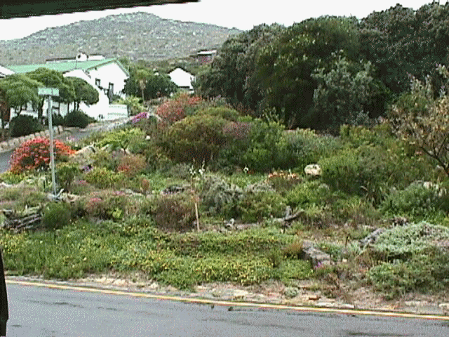 Uphill2.jpg (81530 bytes)