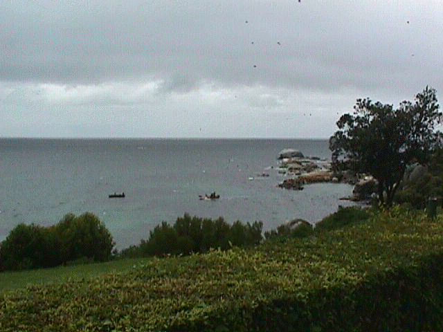 View1.jpg (42956 bytes)